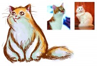 /album/resim-galerisi/scratch-cats-jpg1/